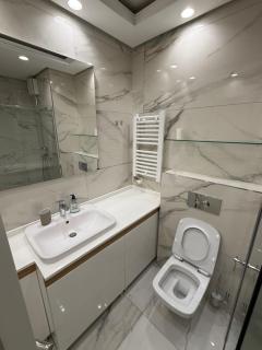 Central Garden grand luxurious apt - 2