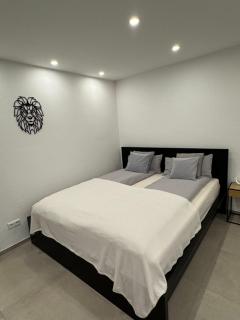 Lion Apartment Gaggenau - Bad Rotenfels - Gaggenau - 0