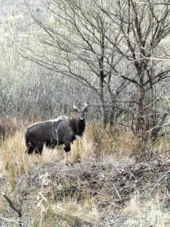 Kulanka Lodge - Roodeplaat - 5