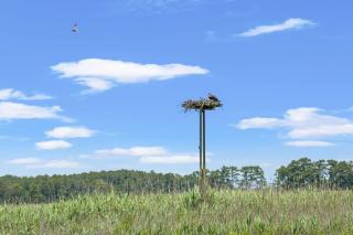 Creek House - Waterfront Oasis on Holden - 4