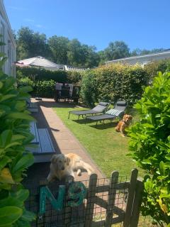 N 9Strandnahes, hunde-familienfreundliches Ferienhaus - 2