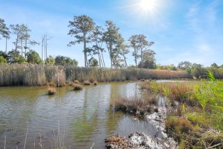 Egret's Walk - Charming Cottage on North Main! - Deep Hole - 6