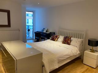 River view spacious apartment - Londra - 5
