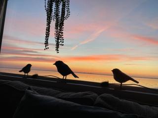 Traumlage Nr 58 Traumblick direkt am Wattenmeer erste Reihe unendliche Weite, eingebettet in der Natur - 8