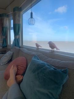 Traumlage Nr 58 Traumblick direkt am Wattenmeer erste Reihe unendliche Weite, eingebettet in der Natur - Westerland - 4