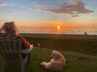 Traumlage Nr 58 Traumblick direkt am Wattenmeer erste Reihe unendliche Weite, eingebettet in der Natur - 1