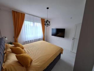 Apartman Nikola Vukosavljevic - Kruševac - 3