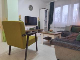 Apartman Nikola Vukosavljevic - Kruševac - 9