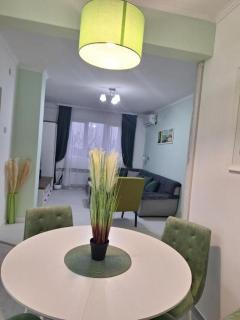 Apartman Nikola Vukosavljevic - Kruševac - 4