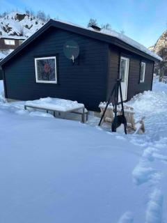 Cabin in Valldalen, Røldal - Røldal - 2