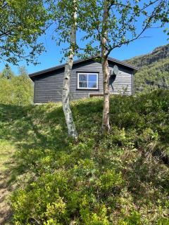 Cabin in Valldalen, Røldal - Røldal - 1