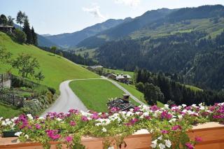 Ferienwohnung Bergpanorama WILD600 - Schwarzenau - 8