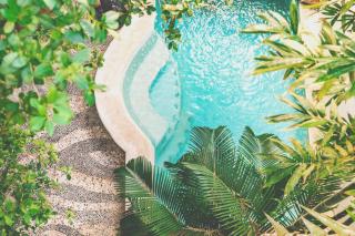 Plantation House - why stay elsewhere - Playa del Carmen - 8