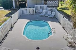 Pet Friendly- St George Island Sleeps 13- Pool - St. George Island - 6