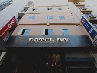 Hotel Ivy - New Delhi - 0