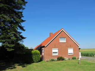 Ferienhaus STICKLIESEL DITZ125 am DOLLART Emsmündung Nähe Emden Fähre - Ditzum - 8
