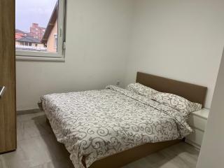 Airport Art Apartments - Čukarica - 8