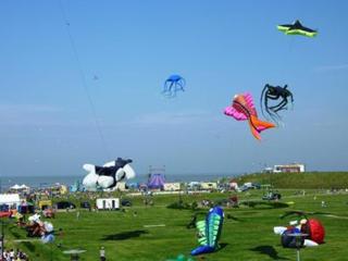 Appartment 530 in Tossens - 1