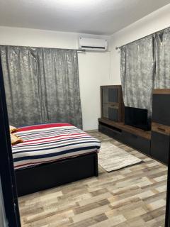 Mihai's studio apartment - Timişoara - 7