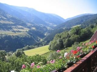 Romantisches Bauernhaus in 1100m Höhe zw Katschberg und Millstätter See - - 9