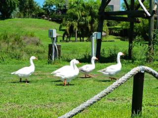 Apart Club San Pedro vip loft - 1