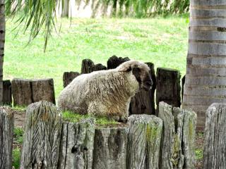 Apart Club San Pedro vip loft - 5