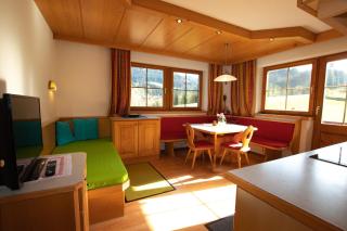 Ferienwohnung zum Mühltal WILD025 - Wildschönau - 8