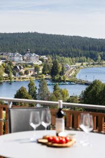 Ferienwohnung Seeglück mit großzügigem Südbalkon und herrlichem Seeblick - Schluchsee - 8