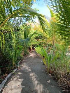 Doris&Ted House - Zancudo - 5