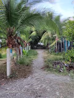 Doris&Ted House - Zancudo - 2