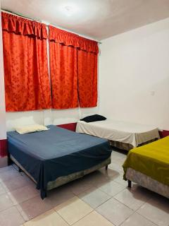 Gually Hostel - Flores - 6