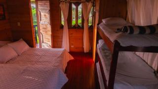 Cabañas/glamping monaco - 5