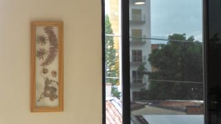 Selva House - Medellín - 3