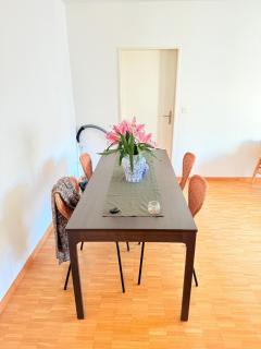Very nice flat 80 meter from SBB - Basilea - 5