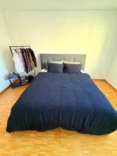 Very nice flat 80 meter from SBB - Basilea - 4