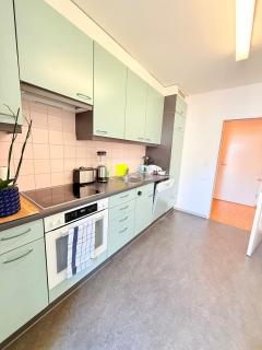 Very nice flat 80 meter from SBB - Basilea - 2