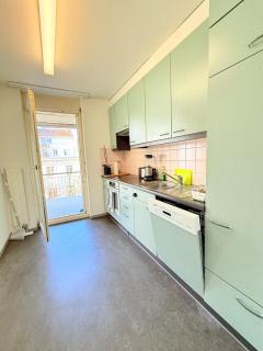Very nice flat 80 meter from SBB - Basilea - 1