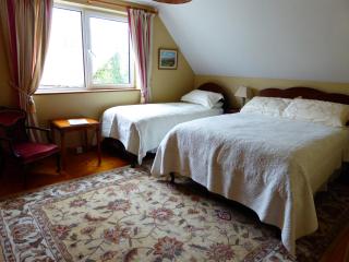 Camillaun Lodge with Lough Corrib Boat Hire - Oughterard - 5