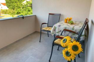 Apartments with a parking space Biograd na Moru, Biograd - 23751 - Biograd na Moru - 1