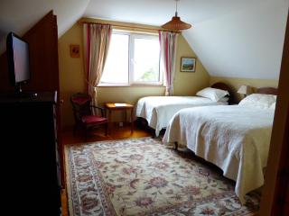 Camillaun Lodge with Lough Corrib Boat Hire - Oughterard - 4