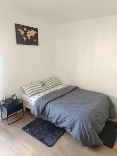 Chic appartement F2 - Conflans-Sainte-Honorine - 9