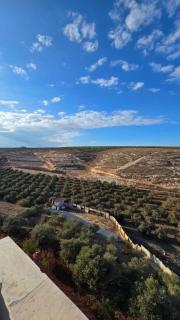 فيلا ومزرعة هوى الوادي Valley's Air Farm خاصة بواصفات عاليه - Irbid - 1