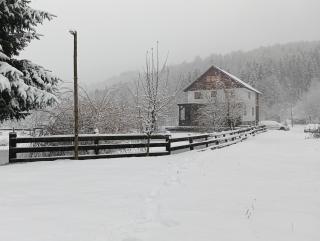 Cabana Țibleș - - 9