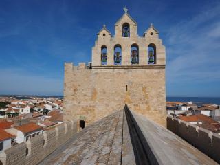 Studio pour 4 Pers., Climatisé, Animaux Bienvenus - FR-1-475-207 - Saintes-Maries-de-la-Mer - 2