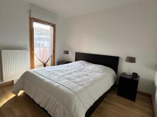 Spacieux T2 avec terrasses et garage, animaux bienvenus - FR-1-555-111 - Aix-les-Bains - 8