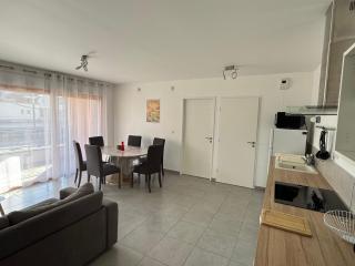 Spacieux T2 avec terrasses et garage, animaux bienvenus - FR-1-555-111 - Aix-les-Bains - 3