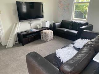 Homewood Ambassador - Wellington - 9