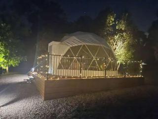 zhus garden - Kilsyth - 5