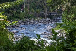 Intan sidemen villa - Sidemen - 6