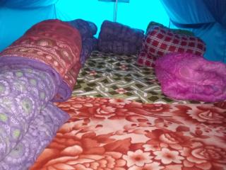 Avk Tents near kedarnath - Kedārnāth - 2